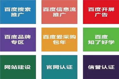 某品牌SEM广告投放的ROI提升案例